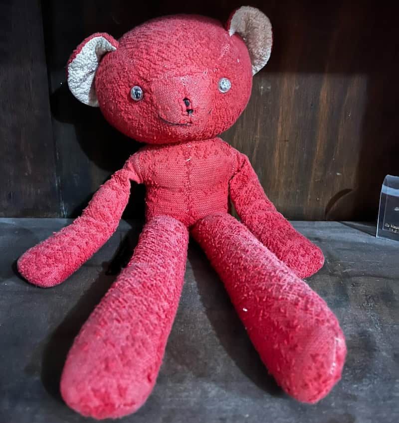 Teddy